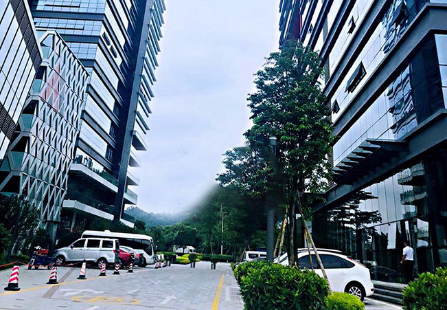 深圳博凌管理技術有限公司